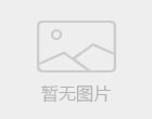 百分网
