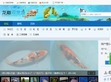 龙巅观赏鱼