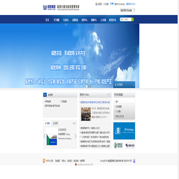 威胜集团有限公司